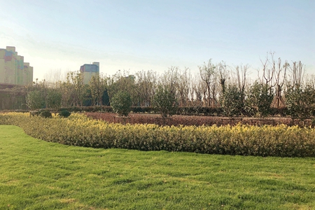 微信圖片_20201221145805_副本_副本.jpg 微信圖片_20201221145805_副本_副本.jpg