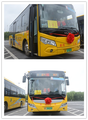 公交快線(190、181路).jpg 公交快線(190、181路).jpg