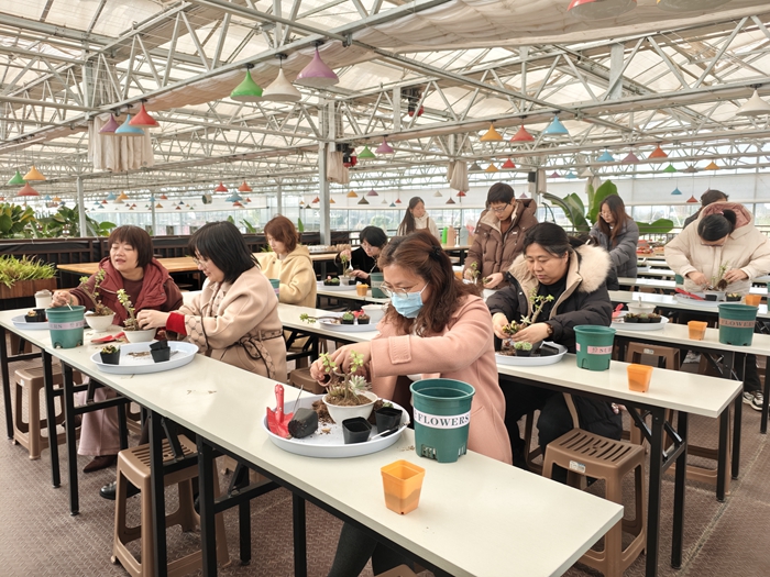 IMG_20250306_150232_副本.jpg IMG_20250306_150232_副本.jpg